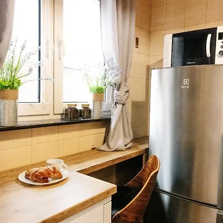 Dekart Centrum Apartment